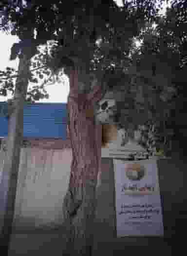 زیبایی الهه ناز در محله طبرسی شمالی مشهد 