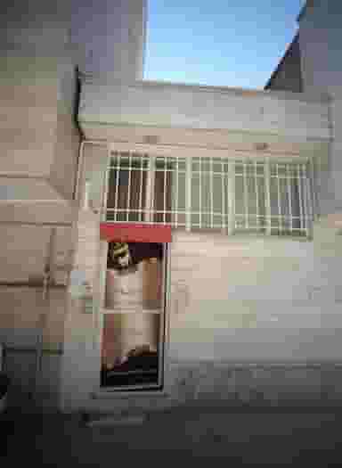 انیستیتو زیبایی ماریا در محله راه آهن مشهد 