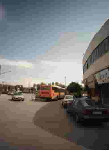 پیرایش نگاه نو در شهرک مهر آباد مشهد 