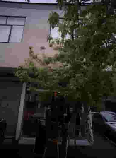 فروشگاه پوشاک در شمیران نو