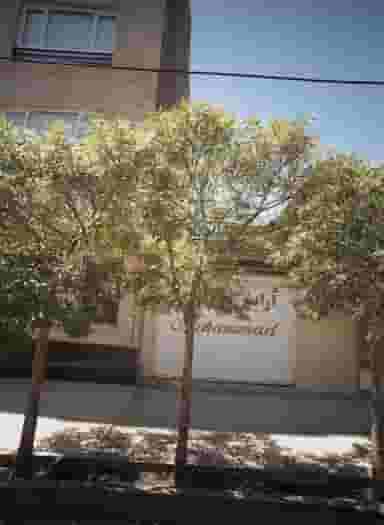 آرایش و پیرایش محمد در محله شهرآرا مشهد 