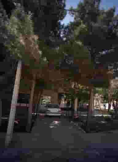 پیرایش محسن در محله هدایت مشهد 