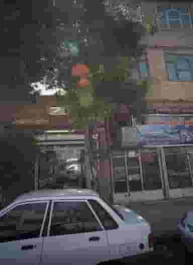 پیرایش در شهرک بهارستان مشهد 