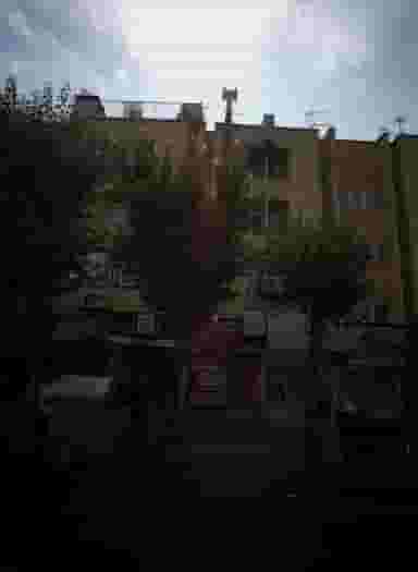 فروشگاه پوشاک هلن در دولت آباد