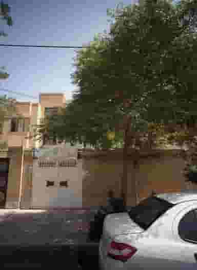 زیبایی رز سفید در محله فرهنگ مشهد 