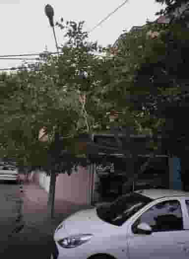 آرایش نادری در محله مجد مشهد 