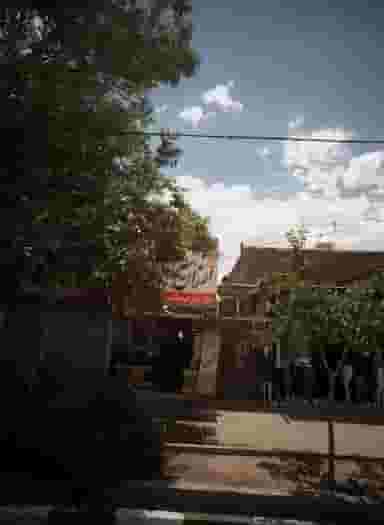 پیرایش آلما در محله پنجتن مشهد 