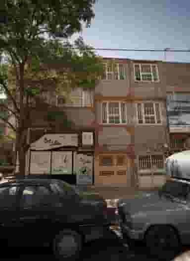 زیبایی گل یخ کوی ولیعصر خراسان رضوی