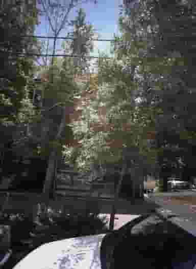 پیرایش وحید در پنجتن خراسان رضوی