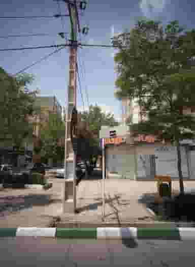 زیبایی لادن در فرهنگ مشهد