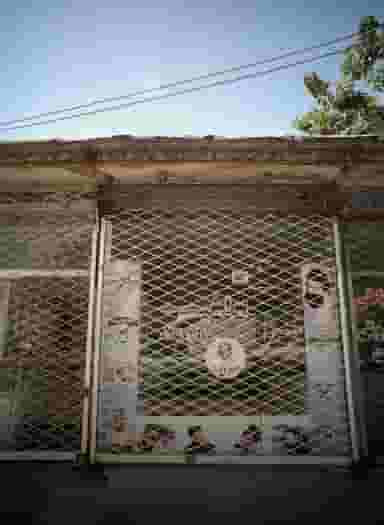 پیرایش سون در نیزه مشهد