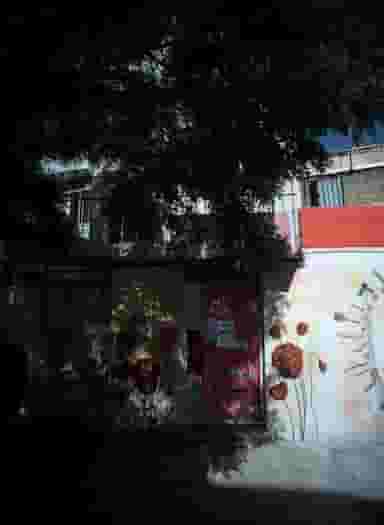 سالن آرایش قصر سرخ در بهمن مشهد