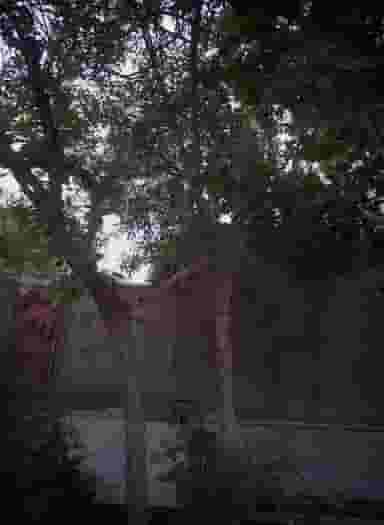 سالن زیبایی پلک در رسالت مشهد