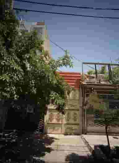 سلمونی حجت در کوشش مشهد