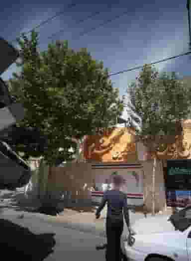 زیبایی گندم در چهارچشمه مشهد