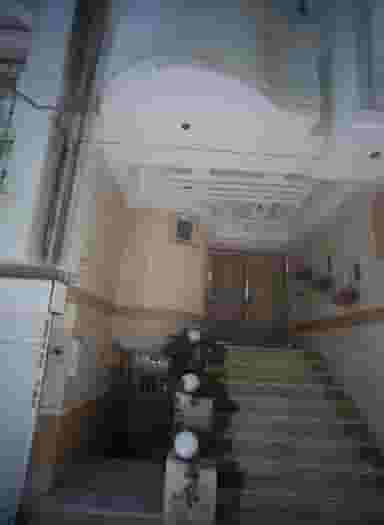 زیبایی بلسان در هنرستان مشهد