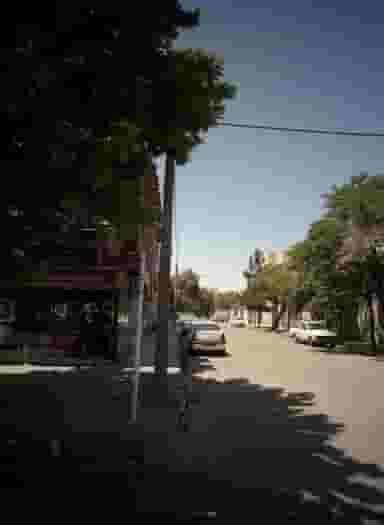 پیرایش متین در گاز مشهد