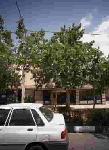 آرایش هاشم در شریف مشهد