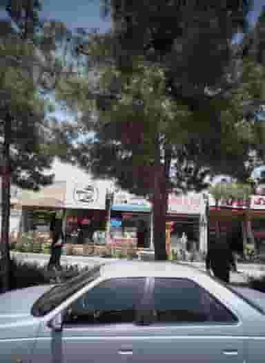 پیرایش فرهاد در امامیه مشهد