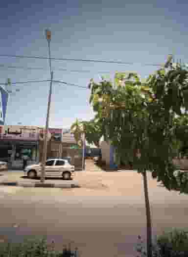 پیرایش امید کوی دروی مشهد