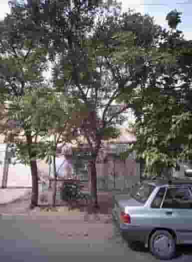 آرایشگاه زنانه پری ناز دلربا در گاز مشهد