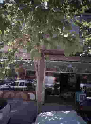 لیزر چرم آران در عامل مشهد