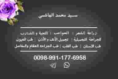 مترجم فارسی عربی(سیدمحمدالهاشمی) در عنصری مشهد