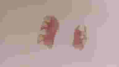 دندانسازی الماس شعبه ۱ در باقوشخانه اصفهان