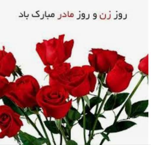 گل گیشا در کشاورزی اصفهان
