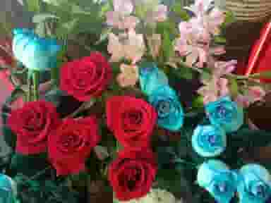 گل نفیس در شهیش آباد اصفهان