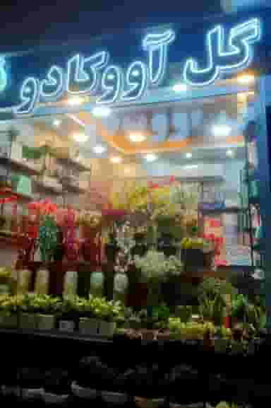 گلفروشی گل آووکادو در شیخ صدوق اصفهان