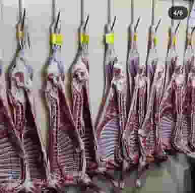 سوپر گوشت کوهستان در گلزار اصفهان