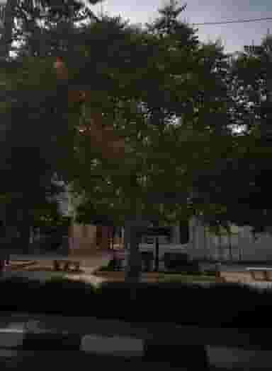 شیرینی و شکلات ولیعصر در شیرودی مشهد