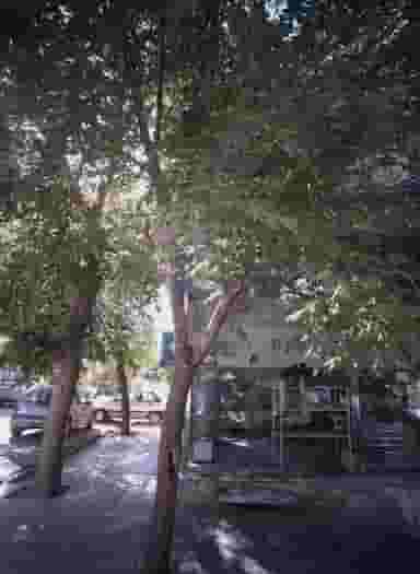 قنادی و بستنی فروشی در کارگران مشهد