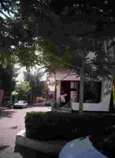 شیرینی خاتون در سجاد شهر مشهد