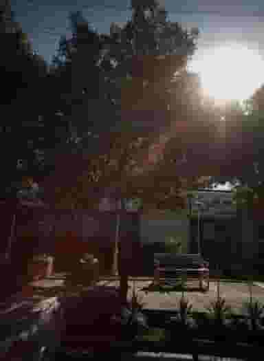 شیرینی و بستنی نازگل کوی امیرالمومنین مشهد