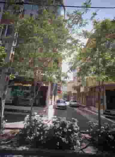 قنادی قامفوت در ولیعصر مشهد
