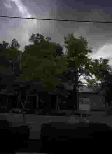 شیرینی کاکتوس در کارگران مشهد