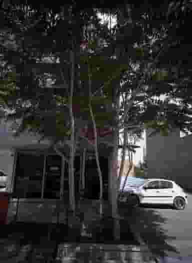 شیرینی فروشی حاج بابا در چهارچشمه مشهد