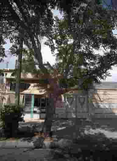 قنادی رئوف در گاز مشهد