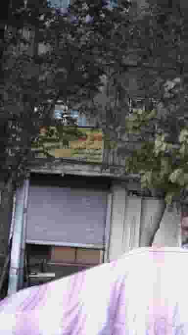 موبایل فروشی در آذری تهران