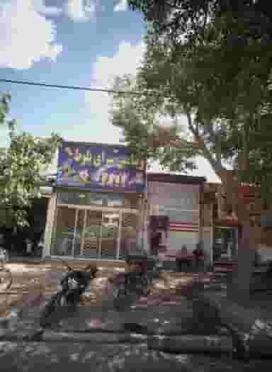 ویتامین سرای بلوط در پنجتن آل عبا مشهد