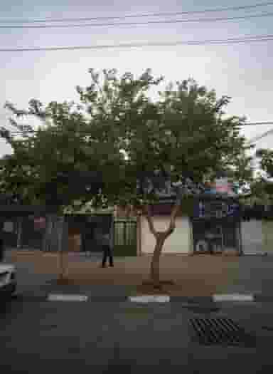 فروشگاه آبمیوه بستنی در شهید معقول مشهد