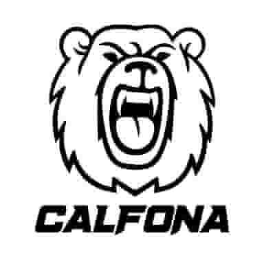 نمایندگی باطری موبایل کالفونا در انقلاب تهران