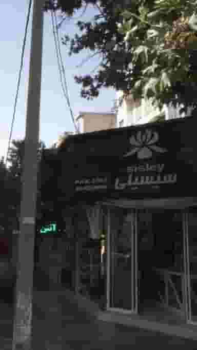 سیسیلی در صد دستگاه تهران