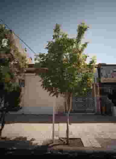 داروخانه دکتر حقیقی در خواجه ربیع مشهد