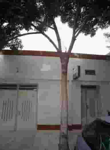 مطب دکتر سید مهدی موسوی در کارمندان اول مشهد