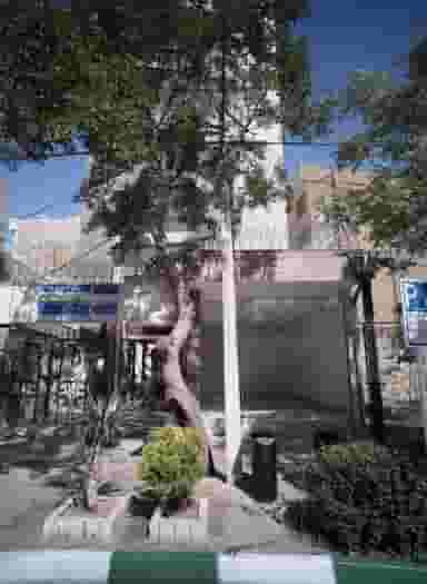 مطب دکتر مژده کشاورزمنش در راهنمایی مشهد