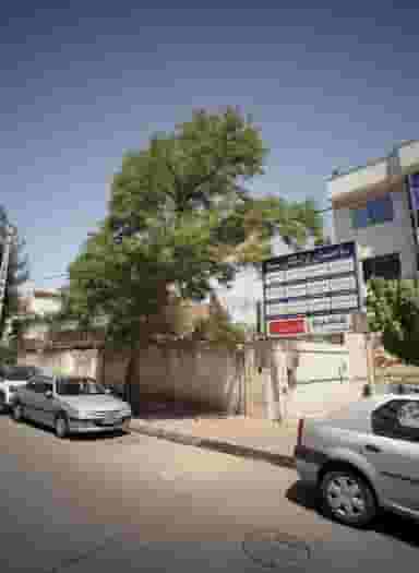 مطب دکتر فاطمه نجفی مود در احمدآباد مشهد