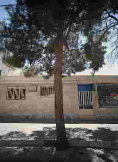 مطب دکتر سید جلال صحت در خواجه ربیع مشهد